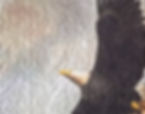 QBW Eagle longarm quilting detail