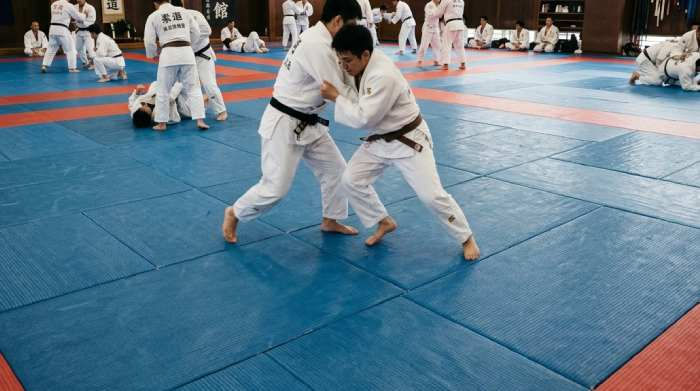 Judo Mat | Gravolite