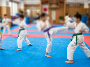 Gravolite Karate Mat
