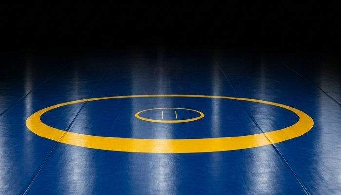 Wrestling Mat Manufacturer