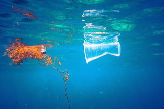mar-plastics_1781832019_40310400_1500x10