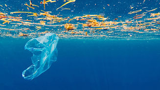 amb-petits-gestos-com-el-reciclatge-de-l