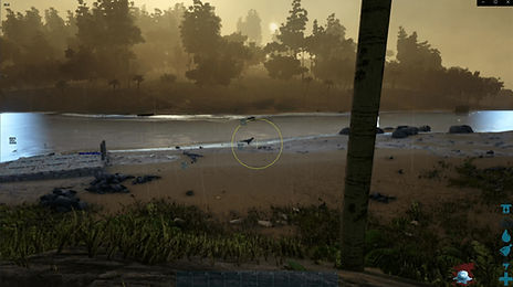 Ark Shack