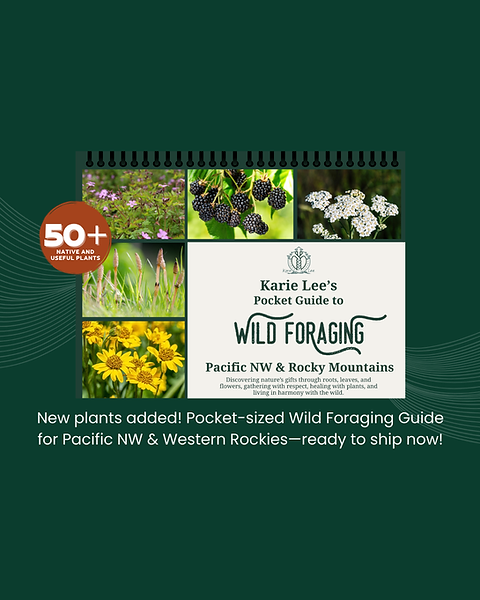 Wild Foraging Guidebook | Karie Lee