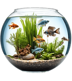pngtree-aquarium-fish-tank-with-beautiful-colorful-real-png-image_13890923.png