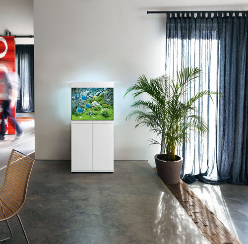 JUWEL Aquarium Lido LED wit 120 L, 61x41x58 cm kopen JUWEL Aquarium Lido LED wit 120 L, 61x41x58 cm kopen