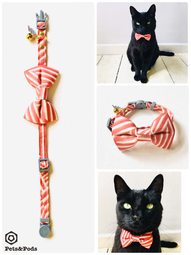 diy cat bow tie