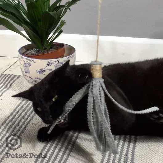 Thumbnail: Handmade Wool Felt Cat Teaser Wand | Interactive Kitten Toy | Eco-Friendly Cat T