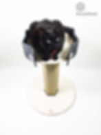 Modern cat scratching post