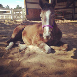 received_1397131167025142