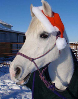 received_10211795424989457