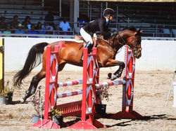 received_1862236453997564