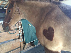 received_10154240599102592