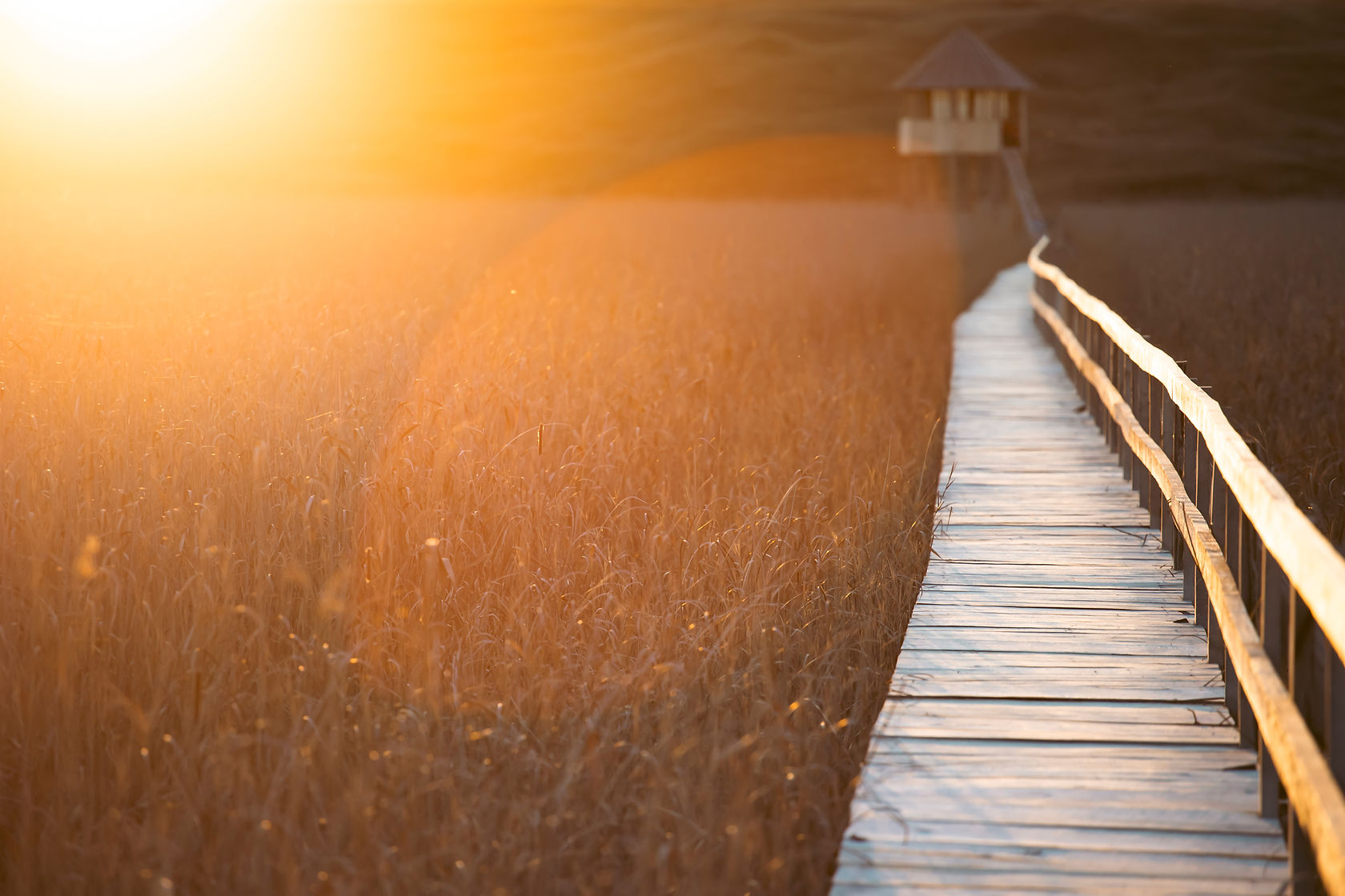 old-wooden-boardwalk-with-a-railing-on-the-side-in-2026-03-24-23-18-11-utc.JPG