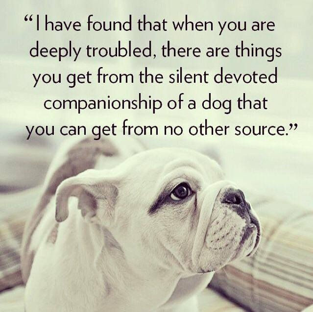 A Lady's Best Friend