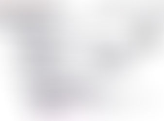 #035 Attend Election Integrity Summit's  "MI Partner Recognition Dinner"