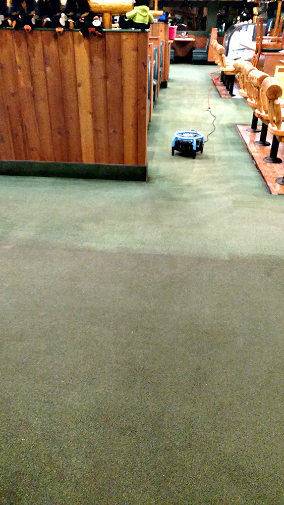 Honest Window & Carpet Cleaning in Medford Commercial & Residential