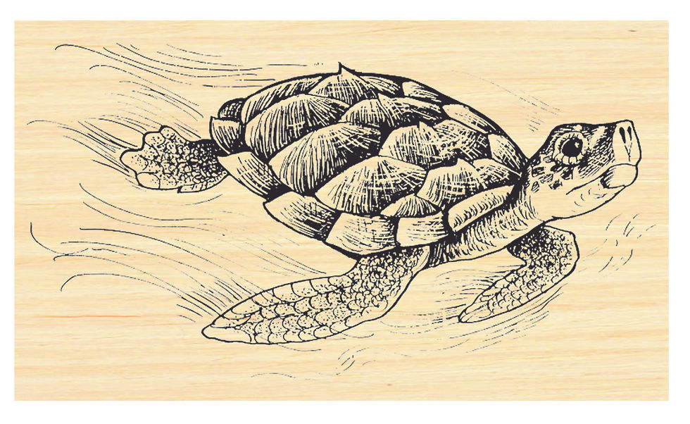 P41 Sea Turtle Rubber Stamp
