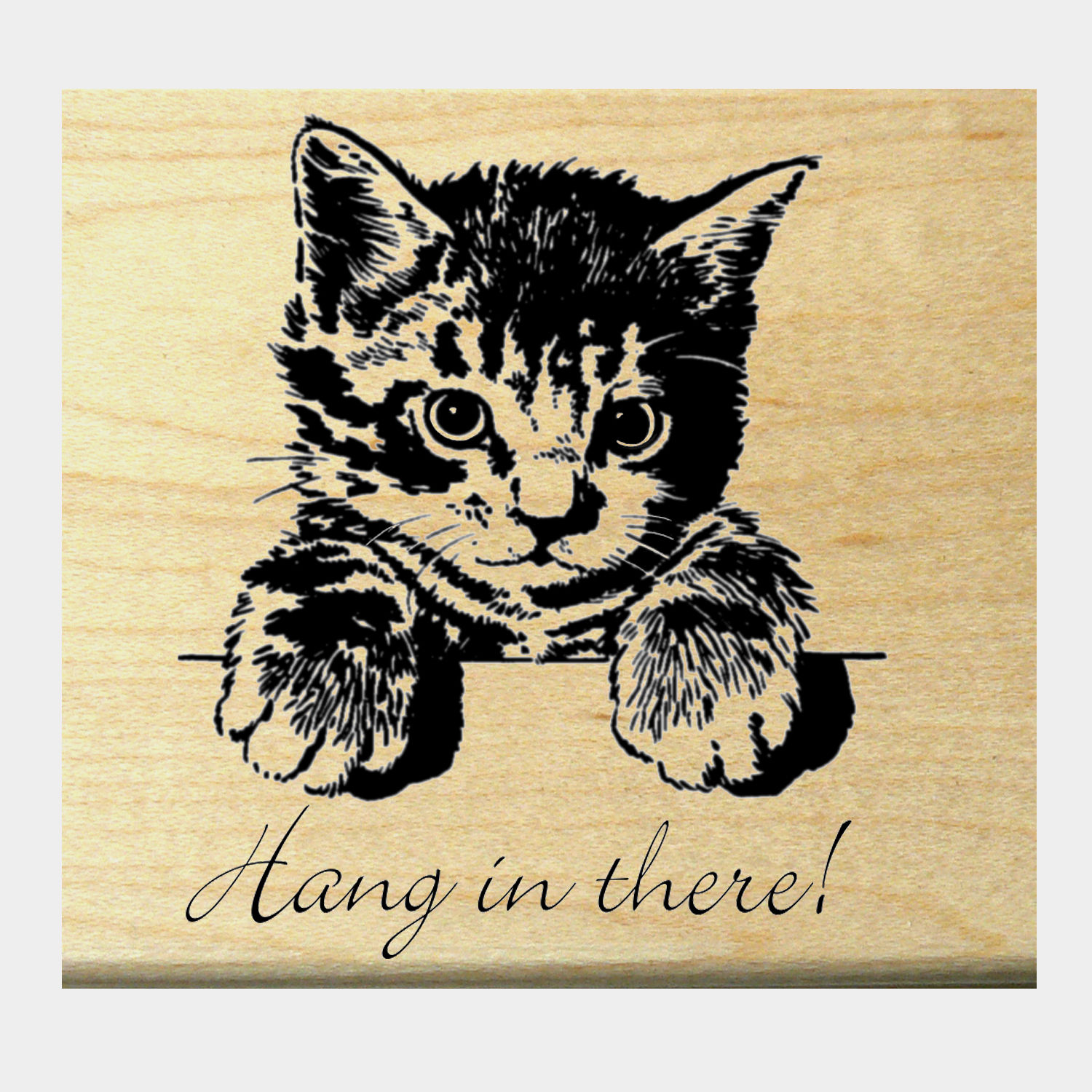 P6 Hang in there kitten Rubber Stamp