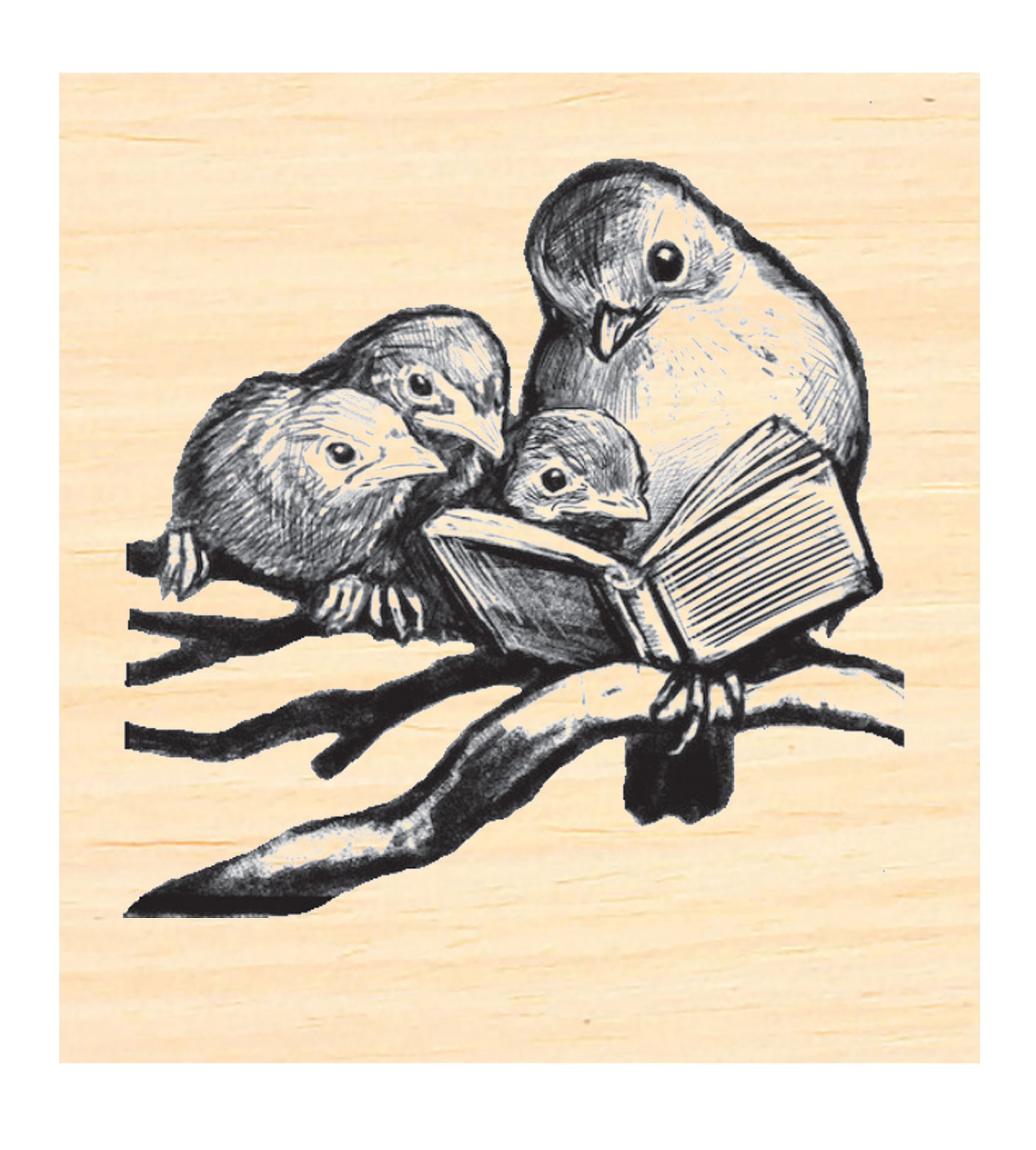 P141 Reading Birds with book Rubber Stamp