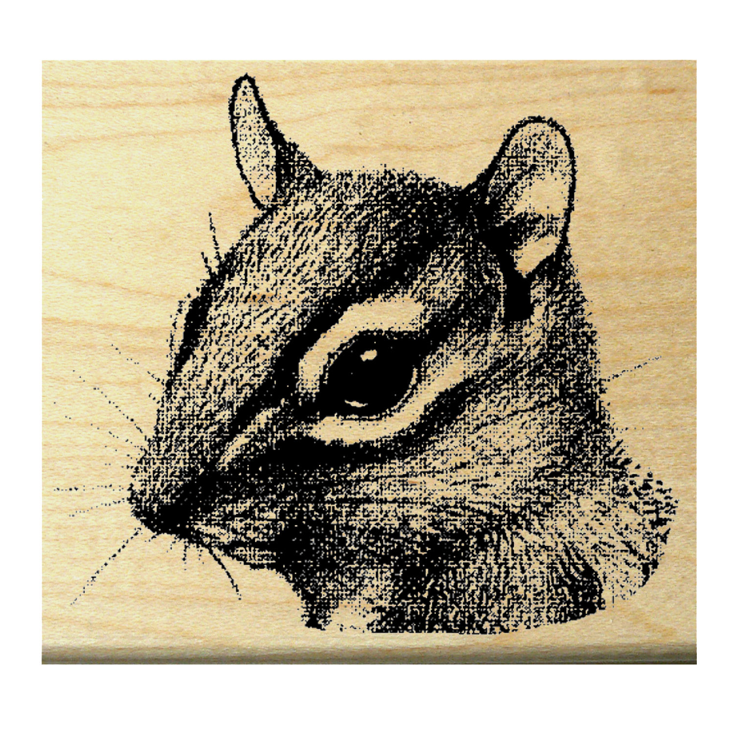 P20 Chipmunk Rubber Stamp