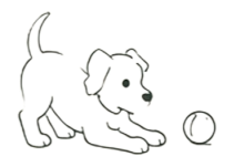 Code canin redon