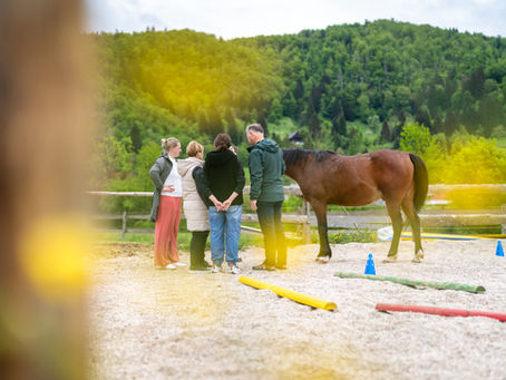 Učni ranč Bohinj – ljudje, konji in izkustveno učenje v Bohinju