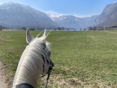 ESCAPE TO UČNI RANČ BOHINJ: UNWINDING IN NATURE’S EMBRACE