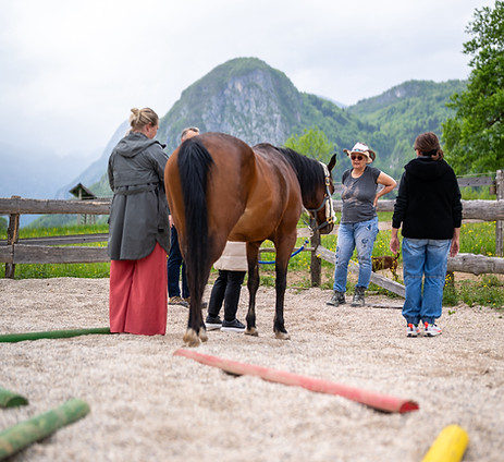 A group of people beside a horse at Učni ranč Bohinj, with mountains in the background.
