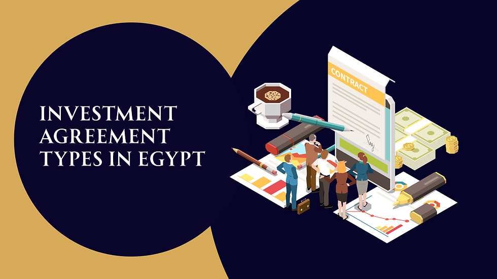 Investment Agreement Types in Egypt