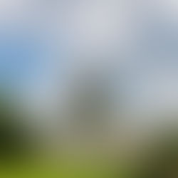 U.S. Capitol Building