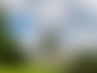 U.S. Capitol Building