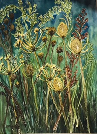 The Beauty of Seeds