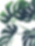 chris-lee-70l1tDAI6rM-unsplash_edited_edited.jpg