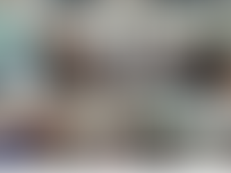 Day 4 of the vETskillinG Project: Generic Skills in Focus