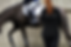dressage-lesson-seven-hills-monroe-wa.png