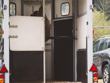 Interior of a horse trailer with the rear ramp down, showing the floor and stall area during a safety inspection for potential floor repair.