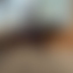 Horse and rider trotting in balanced, straight alignment under saddle during soundness-focused dressage training in an indoor arena.