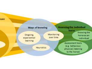 How Horse Owners Define Equine Welfare, Wellbeing, and Quality of Life