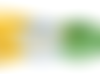 How Horse Owners Define Equine Welfare, Wellbeing, and Quality of Life