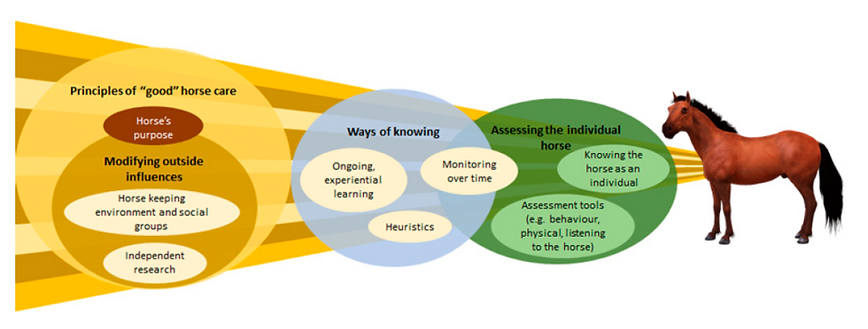 Conceptual model diagram showing four themes that shape leisure horse owners' understanding of equine wellbeing: principles of good horse care, modifying outside influences, ways of knowing, and assessing the individual horse