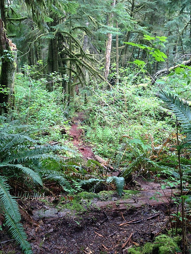 Trail at Lord Hill Regional Park