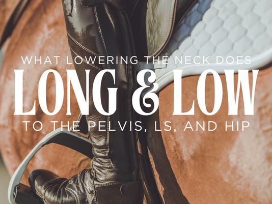 Close-up of a rider’s boot and stirrup against a chestnut horse, featuring the title 'Long & Low: What Lowering the Neck Does to the Pelvis, LS, and Hip.' Kinetic Equine Medicine branding is visible at the bottom.