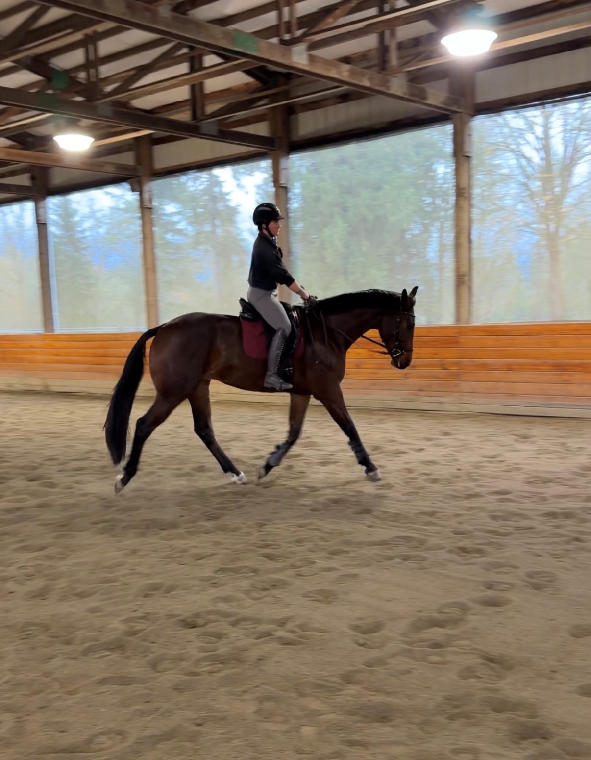 Dressage training session with a rider schooling a bay horse at an indoor arena in Monroe, WA.