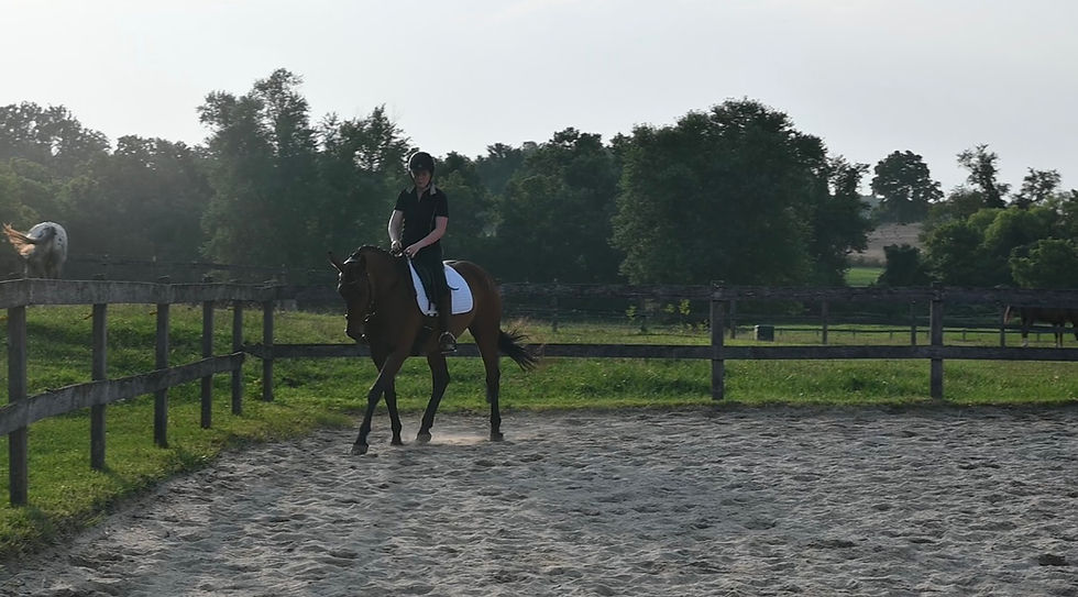 Monica Pandya USDF Silver and Bronze medalist and horse trainer 19341