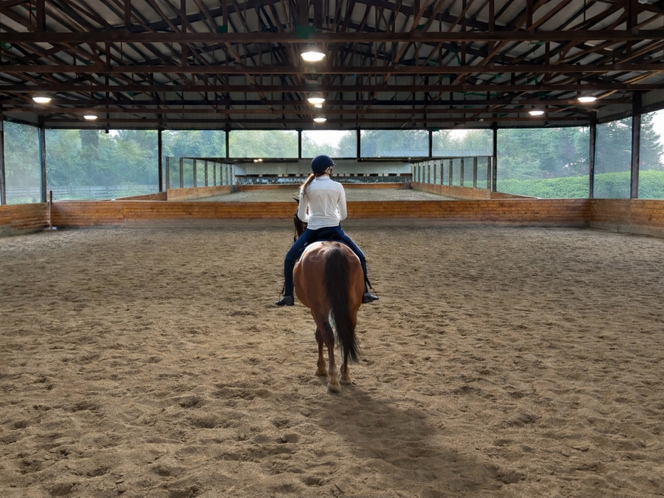 Dressage rider schooling a horse in a private indoor arena with mirrored back wall and sand footing at Seven Hills Training in Monroe, Washington.