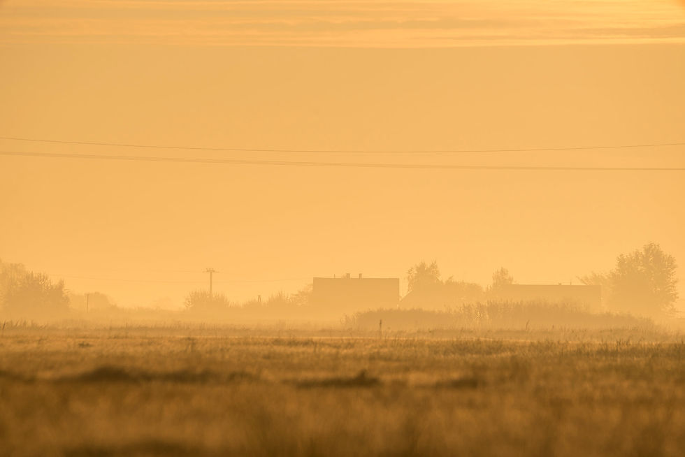 Breaking Down on the Fields
