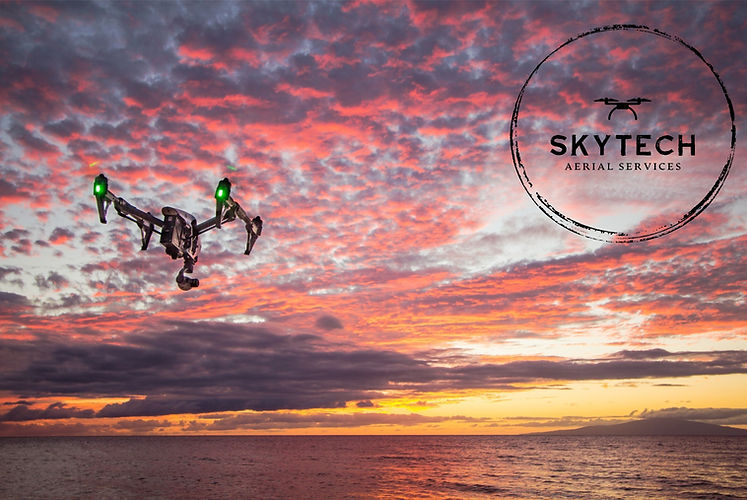 Drone SkyTech_edited.jpg