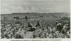 Pomiędzy Oserdowem, a Pzrewodowem.