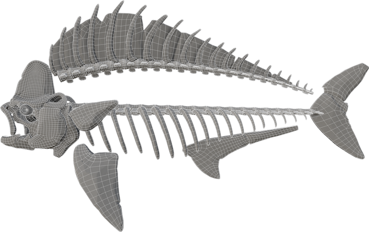 Fish_WF.png